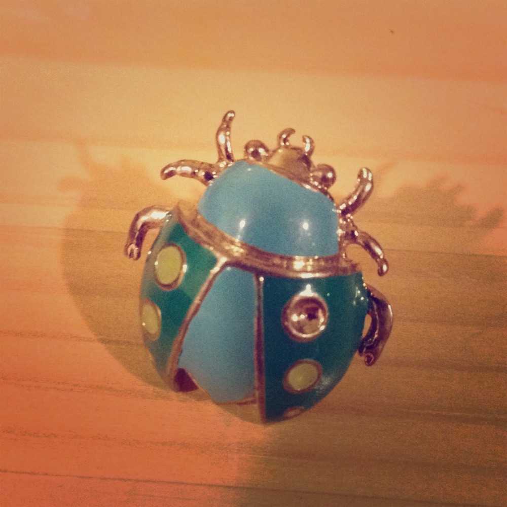 Pastel Lady Bug Pin! 🐞🐞